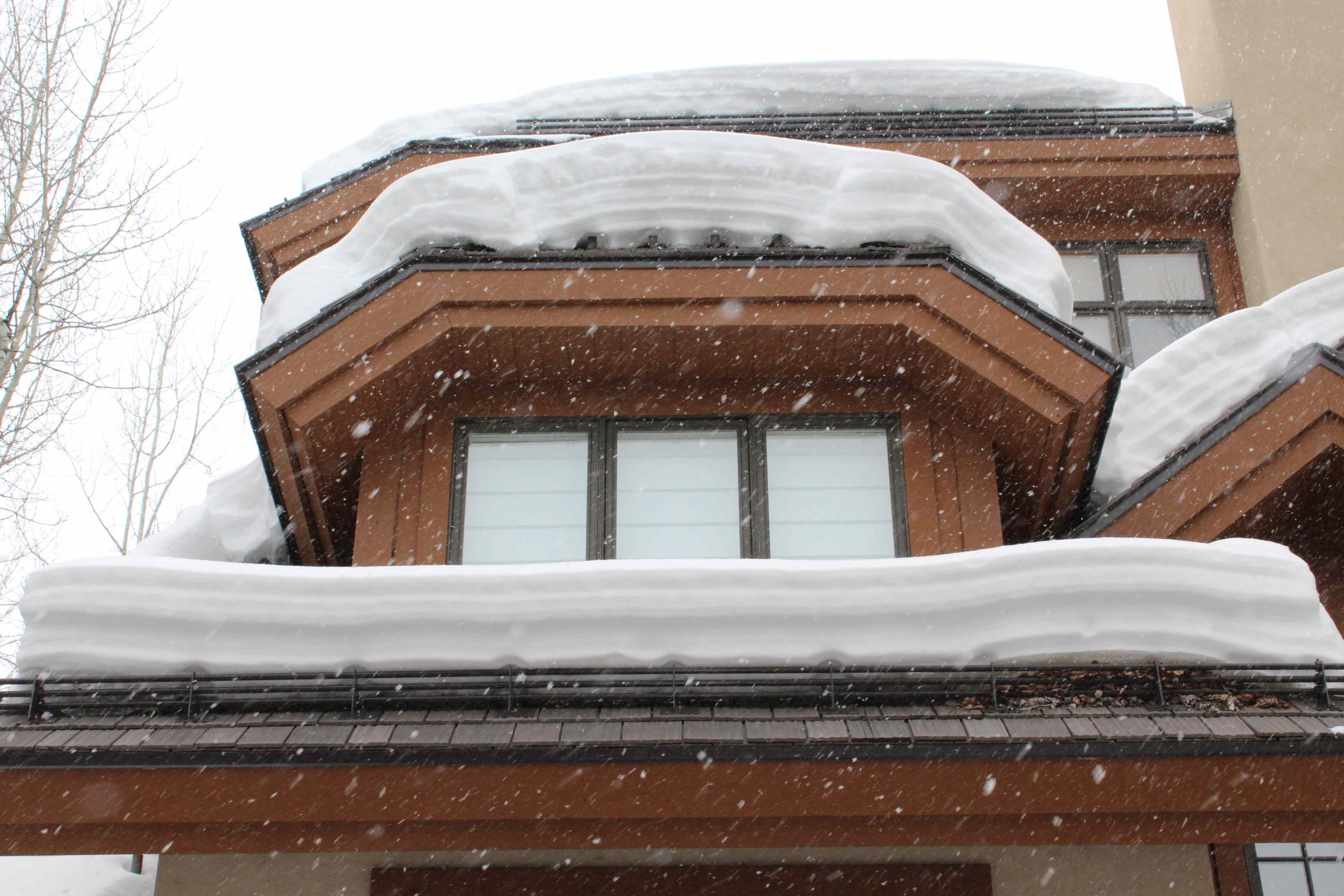Award-Winning Umbrella Roofing Relies on Rocky Mountain Snow Guards