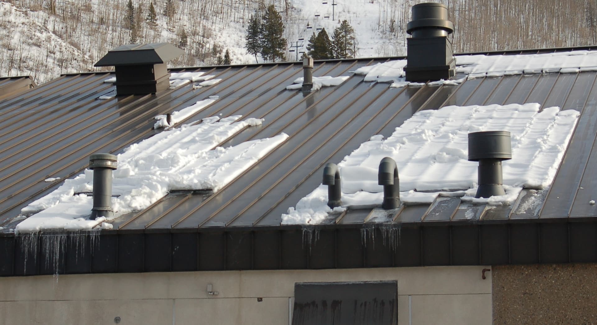 Why Do I Need Snow Guards?