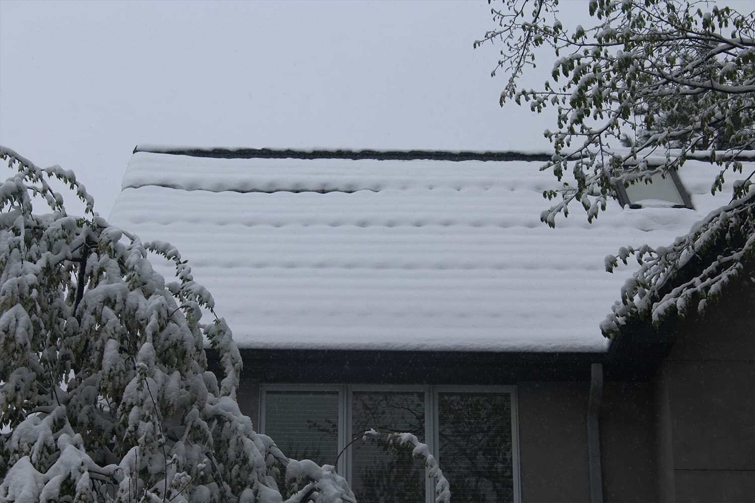 I Have Snow Guards But Snow Still Comes Off My Roof